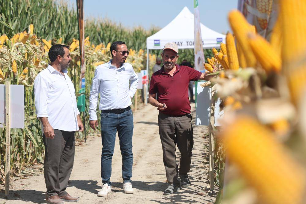 Konya’da son dönemde üretimi eleştiriliyordu! Yeni hibrit çeşitleri tanıtıldı 2